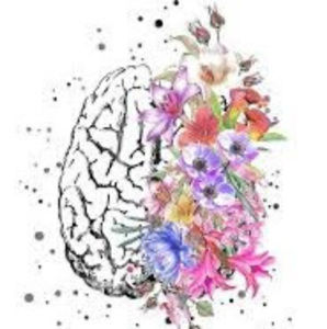 Meet your Posher, Sierra